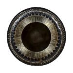 Sun Gong 30”- 75 cm
